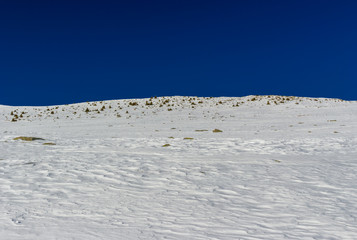 footprints in the snow