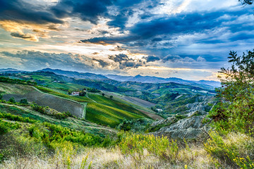 Naklejka premium Green rolling hills