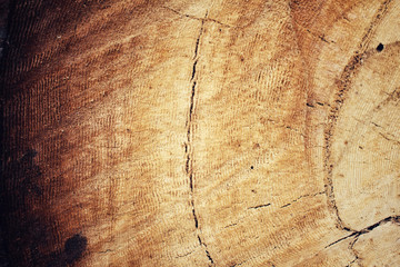 Wood background