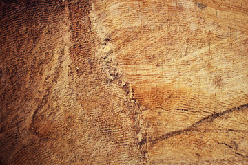 Wood background