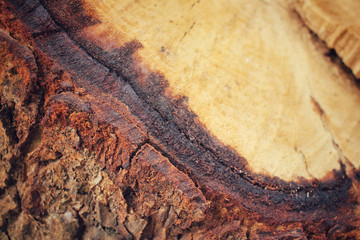 Wood background