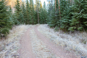 Fototapeta premium Rural dirt road and rime 