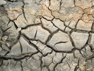 Cracked dry soil