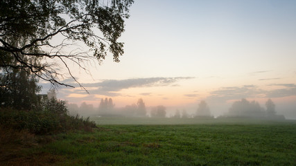 Fototapeta na wymiar Misty meadow at dawn 
