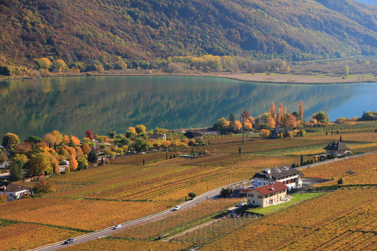 Autunno a Caldaro, Alto Adige Sud Tirol, sulla strada del Vino, tra Bolzano e Termeno