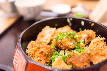 pork with rice in bowl