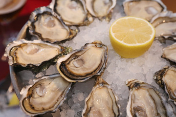 fresh oysters with lemon on a plated
