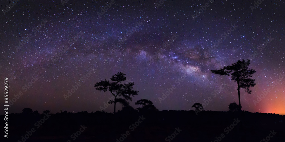 Wall mural panorama milky way at phu hin rong kla national park,phitsanulok