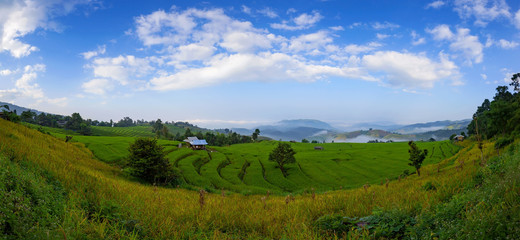 Fototapeta na wymiar Panorama Green Terraced Rice Field at Ban Pa Bong Peay in Chiang