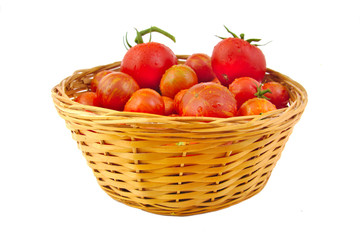 Organic tomatoes in basket isolated on white background