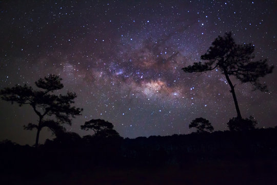 Silhouette of Tree and Milky Way, Long exposure photograph,with