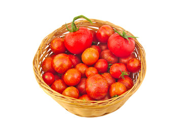 Fresh red tomatoes in basket isolated on a white background