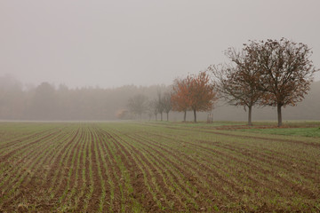 Landschaft im Spätjahr