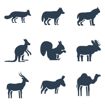 Wild animals vector icon collection
