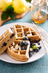 Lemon blueberry waffles with berries 