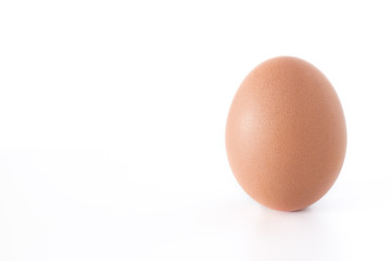 Chicken egg