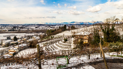Fototapeta premium italian fields with snow