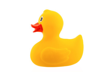 Yellow rubber duck isolated on white