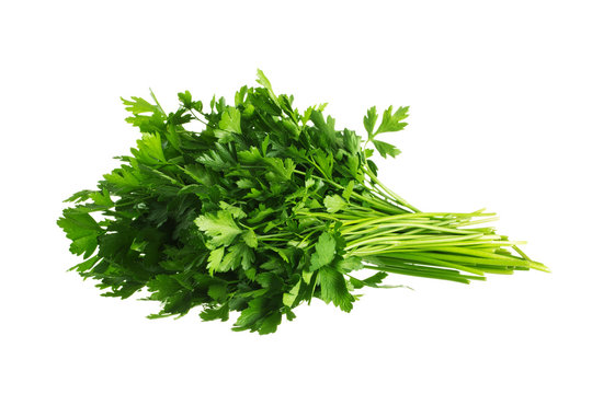Bunch of fresh green parsley. Isolated on white background