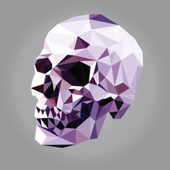 low poly skull