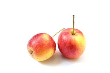 Crab apples on white background