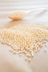 Raw organic white quinoa seeds