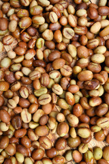 Coffee beans for backgrounds or textures