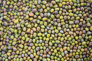 Green bean or mung bean background