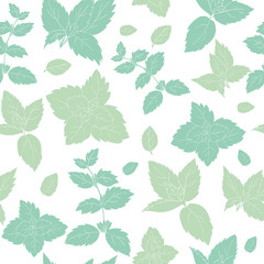 green mint  on white background;  vector pattern