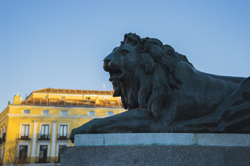 Bronze lion sculpture, oldest street in the capital of Spain, th