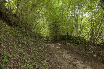 Sur le chemin de Compostelle