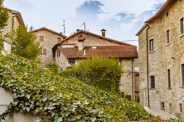 Fototapeta na wymiar ivy in mountain village in Tuscany