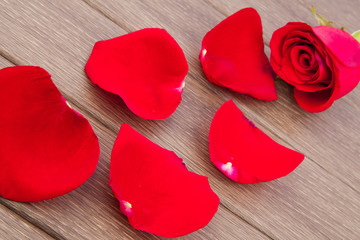 Red rose petals