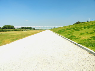 秋の江戸川河川敷