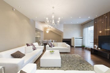 Interior of a spacious living room with fireplace in luxury apar