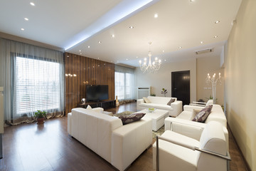 Interior of a spacious living room  in luxury apartment