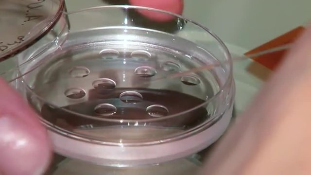 Fertility doctor with a microscope, a syringe and petri dish fertilization of eggs and research in reproduction clinics. Storing frozen eggs and sperm in a box filled with liquid nitrogen.