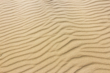 Beach sand