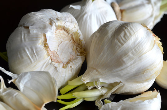garlic on a dark background
