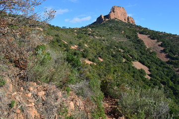 Pics dans l'Esterel