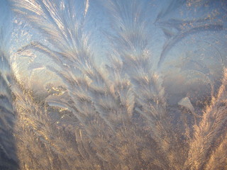 Icing on the sunlit window