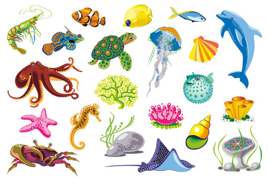 Set of Sea Animals.