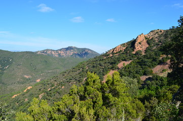 Esterel en automne