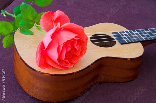 цветок на гитаре загрузить