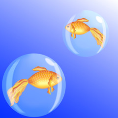 Goldfish in bubbles