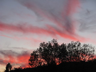 tramonto su bologna
