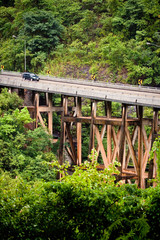 Bridge over mountain forest