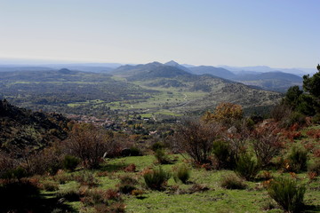 Naklejka premium Zarzalejo, Madrid. Vistas de paisaje y árboles en Otoño