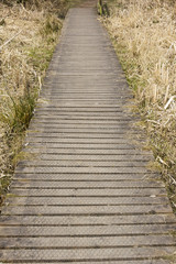 Obraz premium Wood boardwalk in a country park in England