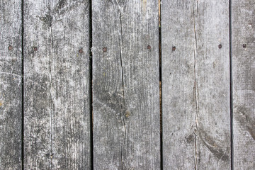 Fototapeta premium Grunge peeling paint gray wood texture.